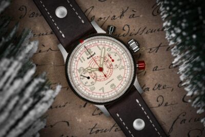 wd-hannhart-tachytele-xmas-2c-1024x684